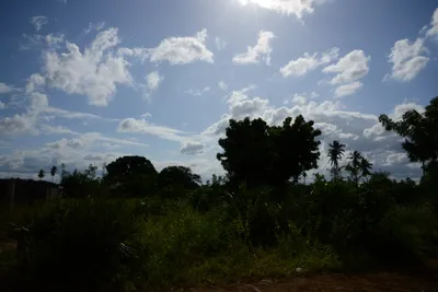 DSC_8687 (Large).JPG